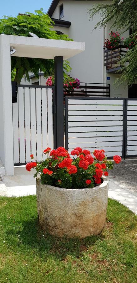 Fiori Apartment Umag Zewnętrze zdjęcie
