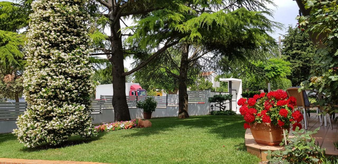 Fiori Apartment Umag Zewnętrze zdjęcie