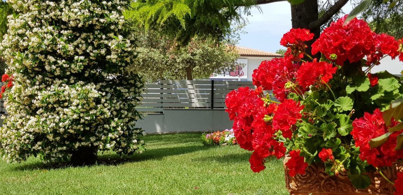 Fiori Apartment Umag Zewnętrze zdjęcie